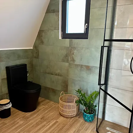 La Casute בית הארחה Silvasu de Jos